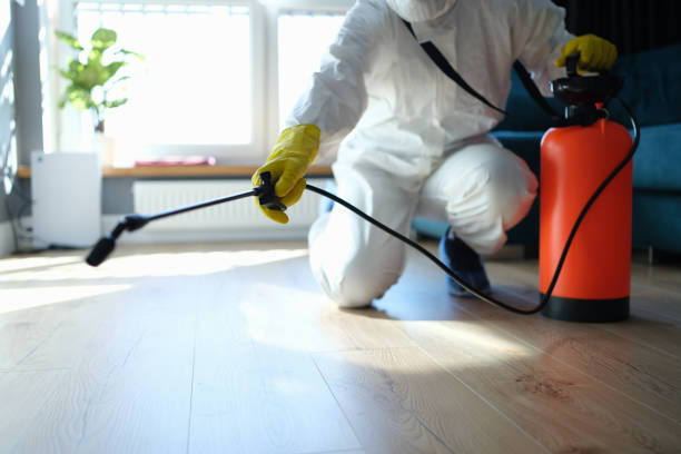 Reliable Sewage Cleanup contractor in Compton, CA by Trauma Clean Pros